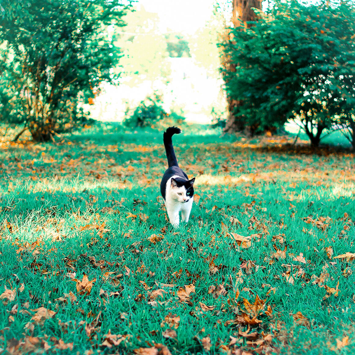 Phoebe Outside