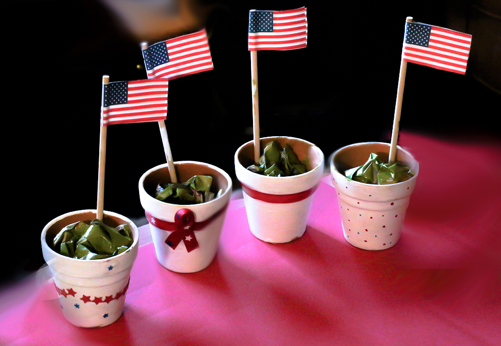 diy plant pot : a patriotic flag for freedom craft