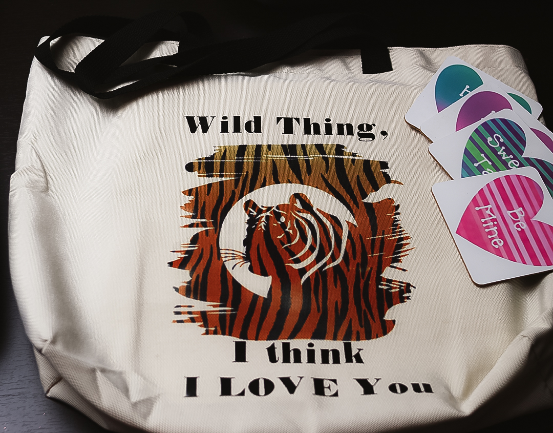 cricut infusible ink diy valentine’s day gifts