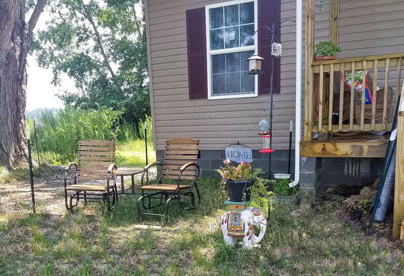 how to create a pet friendly garden