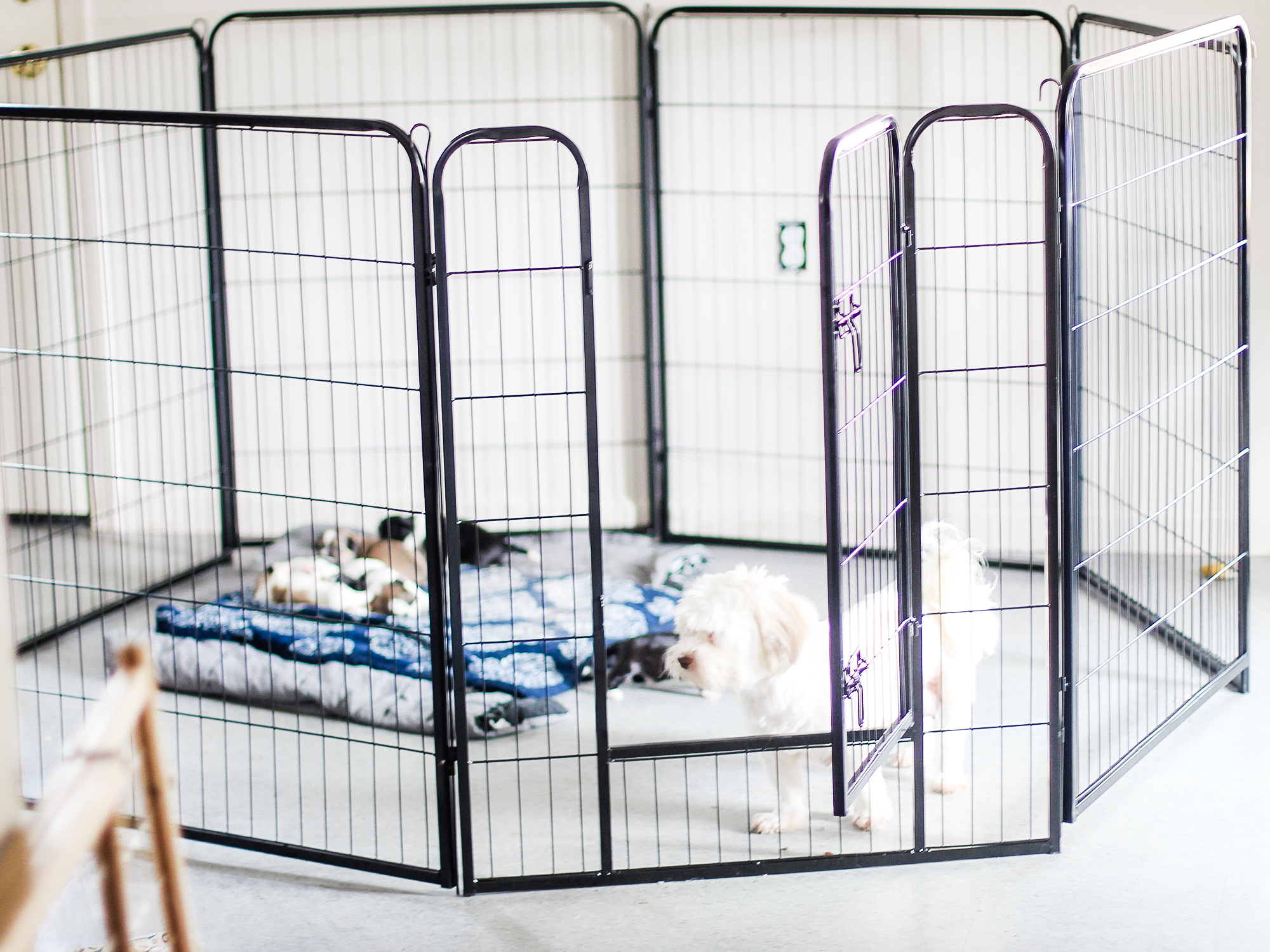 Topeakmart Puppy Playpen (8 Panel)