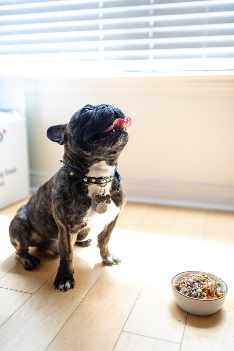 Homemade Dog Food in the Instant Pot