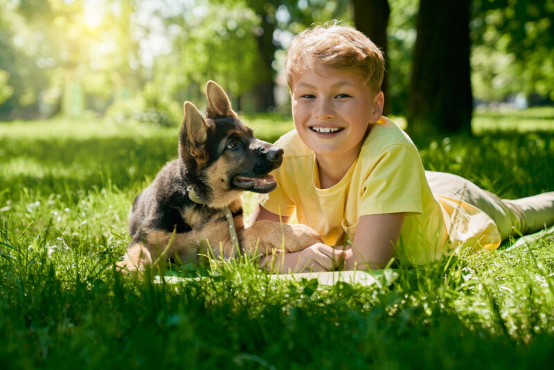 If you have new German Shepherd Puppy, you have to know how to take care of him or her. Below are some tips for German Shepherd Puppy Care: Use A Collar Early 1. Get your German Shepherd used to a leash and collar early. Put the collar on your puppy during short periods of time at first, gradually increasing the amount of time the collar is worn. Finding a good collar for your puppy is important. You want to make sure it is comfortable and not too tight. A good rule of thumb is to be able to fit two fingers between the collar and your puppy's neck. Groom From An Early Age 2. Get your German Shepherd used to being groomed. Start by gently brushing your puppy's fur. acclimate your German Shepherd to having his nails trimmed and ears cleaned. Grooming from an early age will help your German Shepherd be more comfortable with the process and make it easier for you as he grows older. Give Them Plenty Of Exercise 3. German Shepherds need a lot of exercise, so make sure to take your puppy on walks and runs frequently. A tired puppy is a good puppy. Exercise will also help your German Shepherd Puppy socialize with other dogs and people. It is important to expose them to different types of environments and people so they can become well-rounded adults. Introduce Your Puppy To Other Dogs 4. Socialize your German Shepherd Puppy early and often. It's important that your puppy meets other dogs and people, so he can learn to be comfortable around them. Socialising is important for German Shepherds, as they can sometimes be wary of strangers. The more comfortable your puppy is around other people and animals, the less likely he is to become aggressive or fearful as an adult. Provide Stimulating Activities 5. German Shepherds are intelligent dogs, so make sure to provide plenty of mental stimulation for your puppy. This includes puzzle toys, training games, and obedience classes. Be Prepared For Chewing One toy I love is the Kong . It's a rubber toy that you can put treats inside. It keeps my German Shepherd entertained for hours. Get Lots Of Chewy Toys 6. Puppies like to chew on things, so be prepared for your German Shepherd to chew on furniture, shoes, and anything else he can get his teeth on. Be sure to provide plenty of chewing toys for your puppy to gnaw on instead. Spay Or Neuter Your German Shepherd 7. Spaying or neutering your German Shepherd will help to prevent behavioral problems down the road. It's a good idea to have this done when your puppy is around six months old. Having a dog neutered too early can lead to health problems later in life, so be sure to speak with your veterinarian about the best time to do this. Vaccinate Your Puppy 8. Be sure to vaccinate your German Shepherd against all the common diseases. Puppies need a series of vaccinations, starting at around eight weeks old. Vaccinations will ensure that your puppy stays healthy and protected against all the common diseases. Feed Your German Shepherd A Good Quality Puppy Food 9. Feed your German Shepherd high-quality puppy food to ensure he gets all the nutrients he needs to grow and develop properly. You can feed your dog puppy kibble from a well-known brand or try raw dog feeding if you want to give your puppy the best possible nutrition. Provide Lots Of Love And Attention 10. Most importantly, make sure to give your German Shepherd lots of love and attention. Puppies need plenty of cuddles and kisses! Giving your German Shepherd lots of love will help him to become a happy and well-adjusted dog. German Shepherds are loyal dogs, so making sure he feels loved and appreciated is essential. Get Your German Shepherd Microchipped 11. Have your German Shepherd microchipped in case he ever gets lost. This will help to ensure he can be returned to you if he ever gets separated from you. Microchipping can also help to reunite you with your dog if he is ever stolen. Take Your German Shepherd To The Vet Regularly 12. Be sure to take your German Shepherd to the vet for regular check-ups and vaccinations. This is important for keeping your puppy healthy and happy. Now that you know how to take care of your German Shepherd Puppy, enjoy your new furry friend!