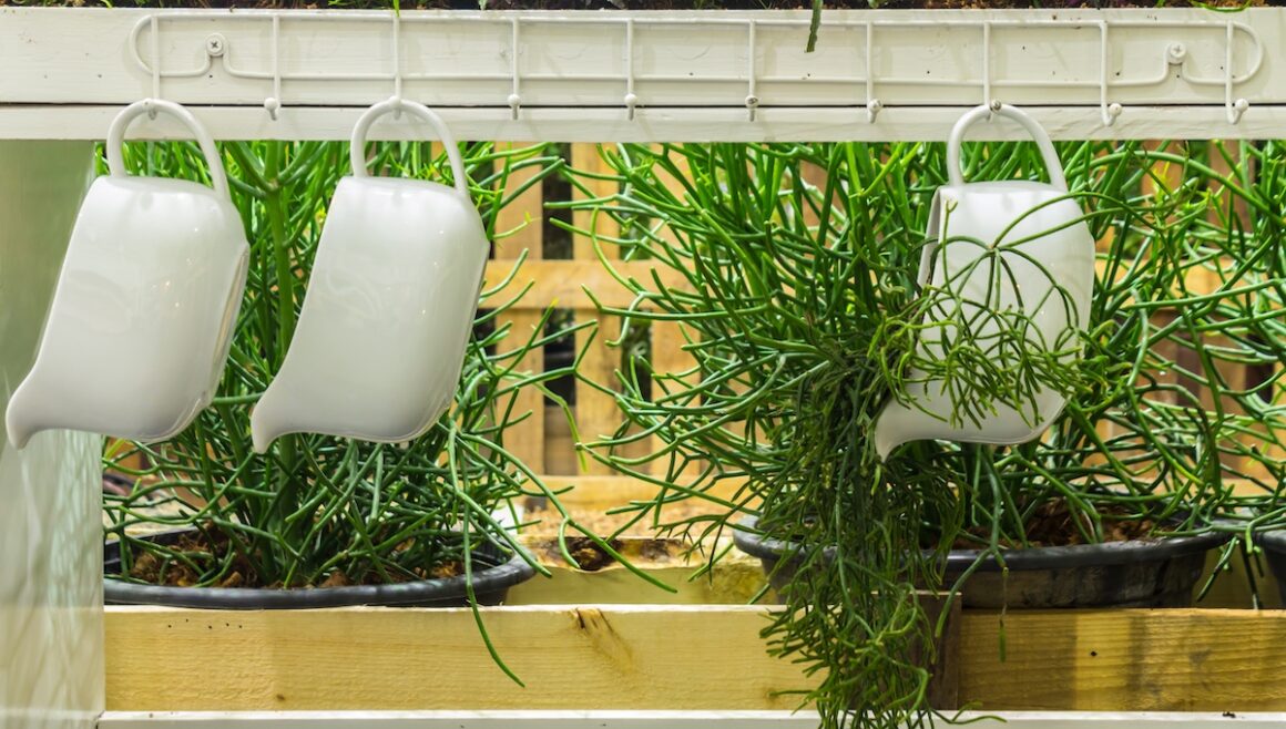 Start An Indoor Herb Garden | Antique zinc flower pot in cozy garden.