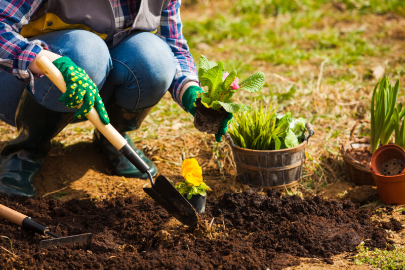 Small Space Gardening