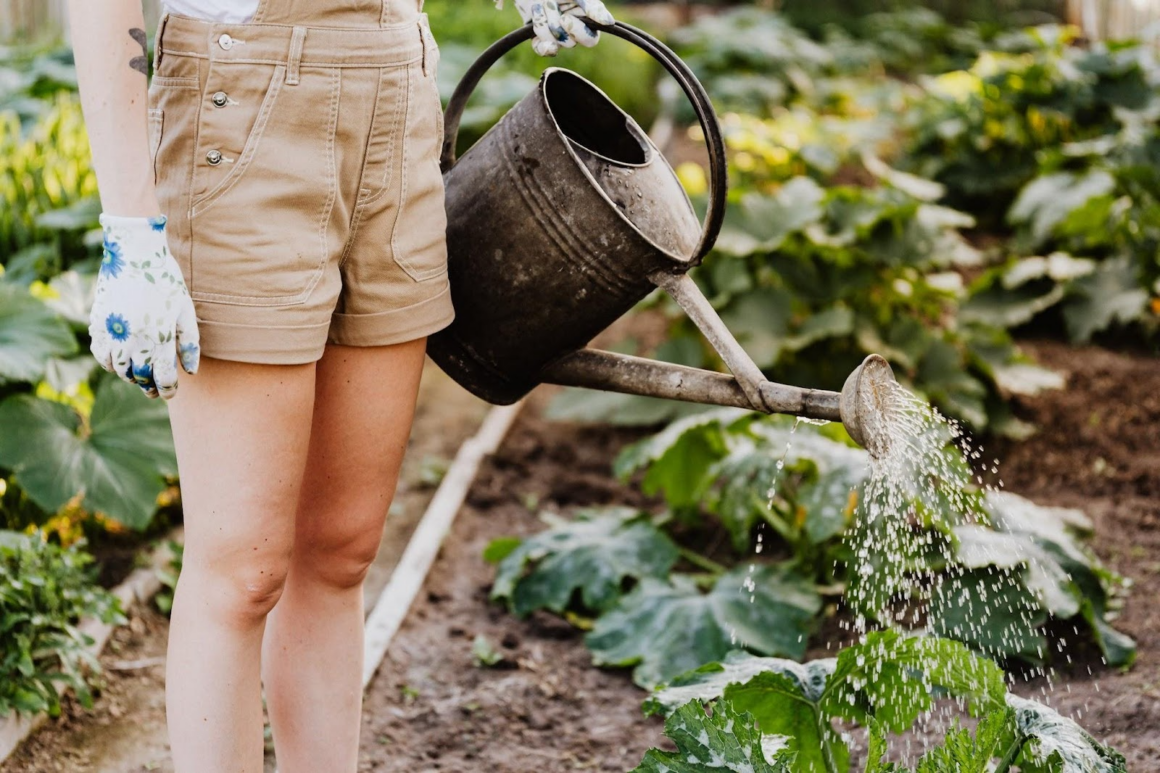 Give Your Garden A Completely Fresh Start