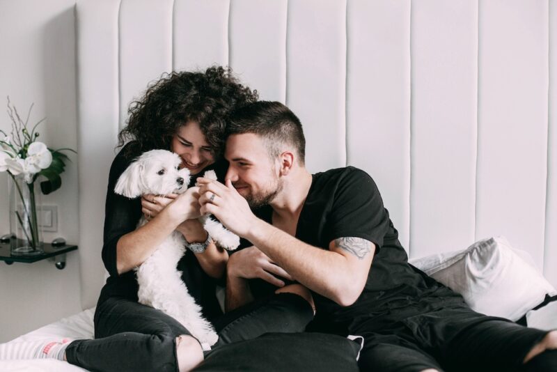 Choosing The Perfect Breed for Your Lifestyle