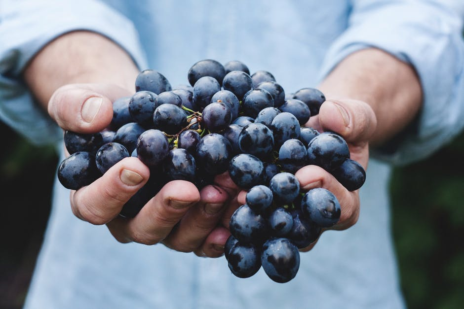 hands holding grapes.