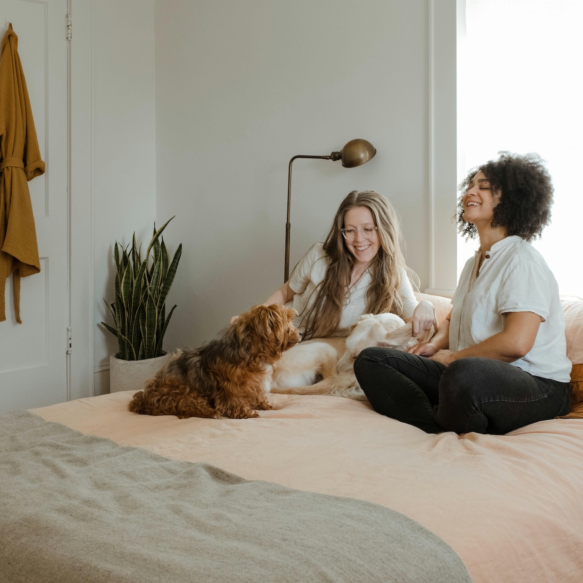 Pet Healthy All Year Round.